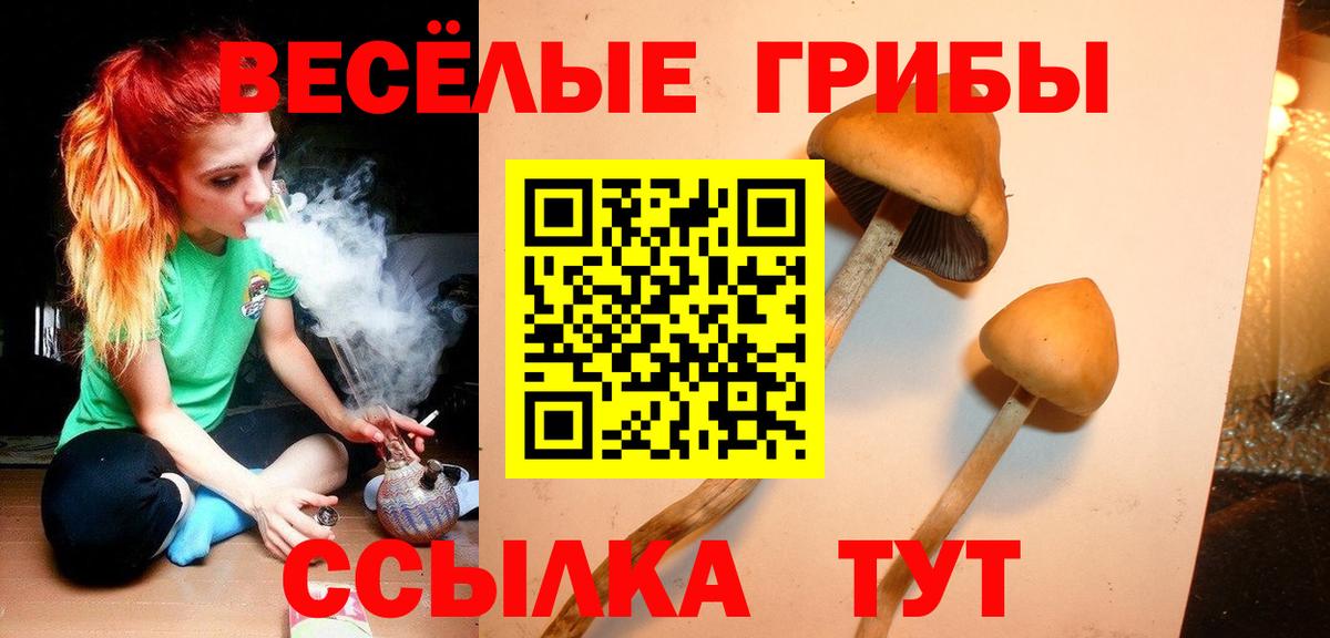 Галлюциногенные грибы Psilocybine cubensis  Галлюциногенные грибы мухоморы  Вход с VPN  Сертолово 